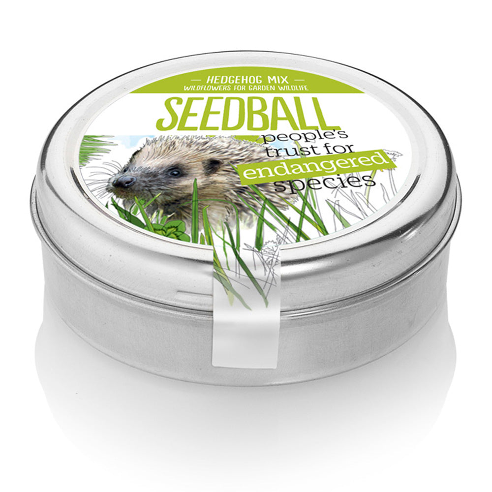 Hedgehog Mix | Tin of 20 Wildflower Seedballs | Gift Idea | Little Gift