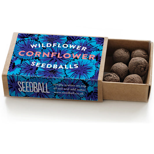 Cornflowers | Seed Bomb Matchbox | Cracker Filler | Mini Gift