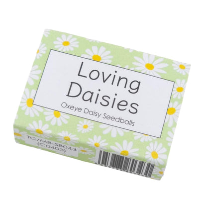 Green Daisy Design | 6 Seedball Box | Oxeye Daisy | Cracker Filler | Little Gift