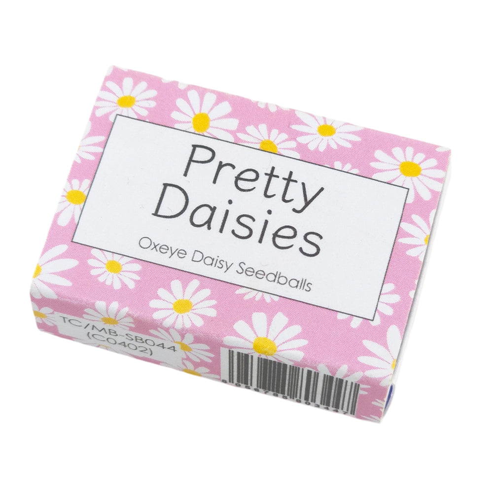 Pink Daisy Design | 6 Seedball Box | Oxeye Daisies | Cracker Filler | Mini Gift