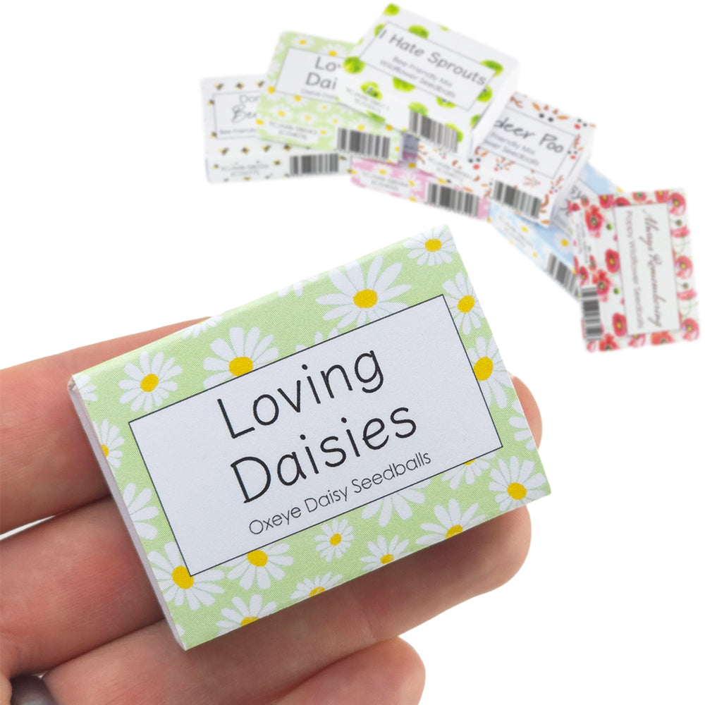 Green Daisy Design | 6 Seedball Box | Oxeye Daisy | Cracker Filler | Little Gift