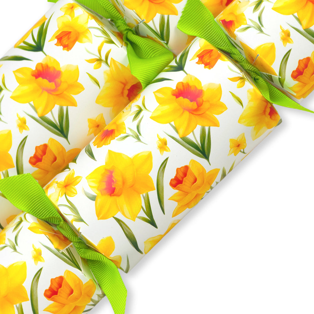 Spring Daffodils | Cracker Making Craft Kit | Make & Fill Your Own