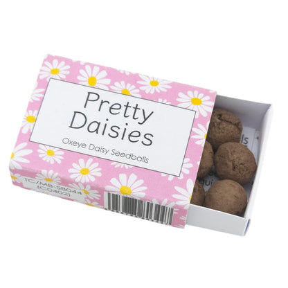 Pink Daisy Design | 6 Seedball Box | Oxeye Daisies | Cracker Filler | Mini Gift