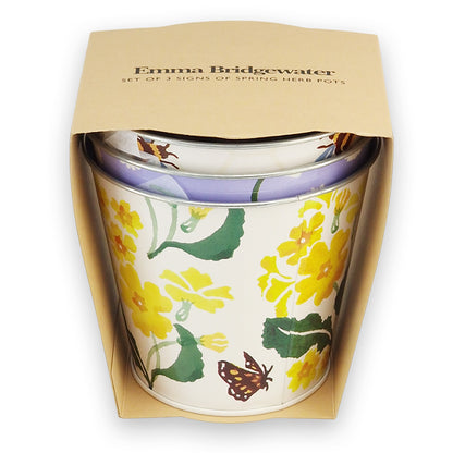 Trio of Tinware Planters | Bee & Spring Herb Pots | Emma Bridgewater | Gift Idea