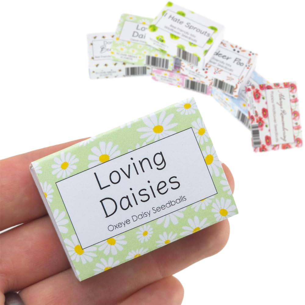 Green Daisy Design | 6 Seedball Box | Oxeye Daisy | Cracker Filler | Little Gift