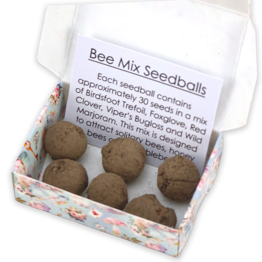 Happy Easter | Springtime Alice | 6 Seedball Box | Bee Mix | Cracker Filler