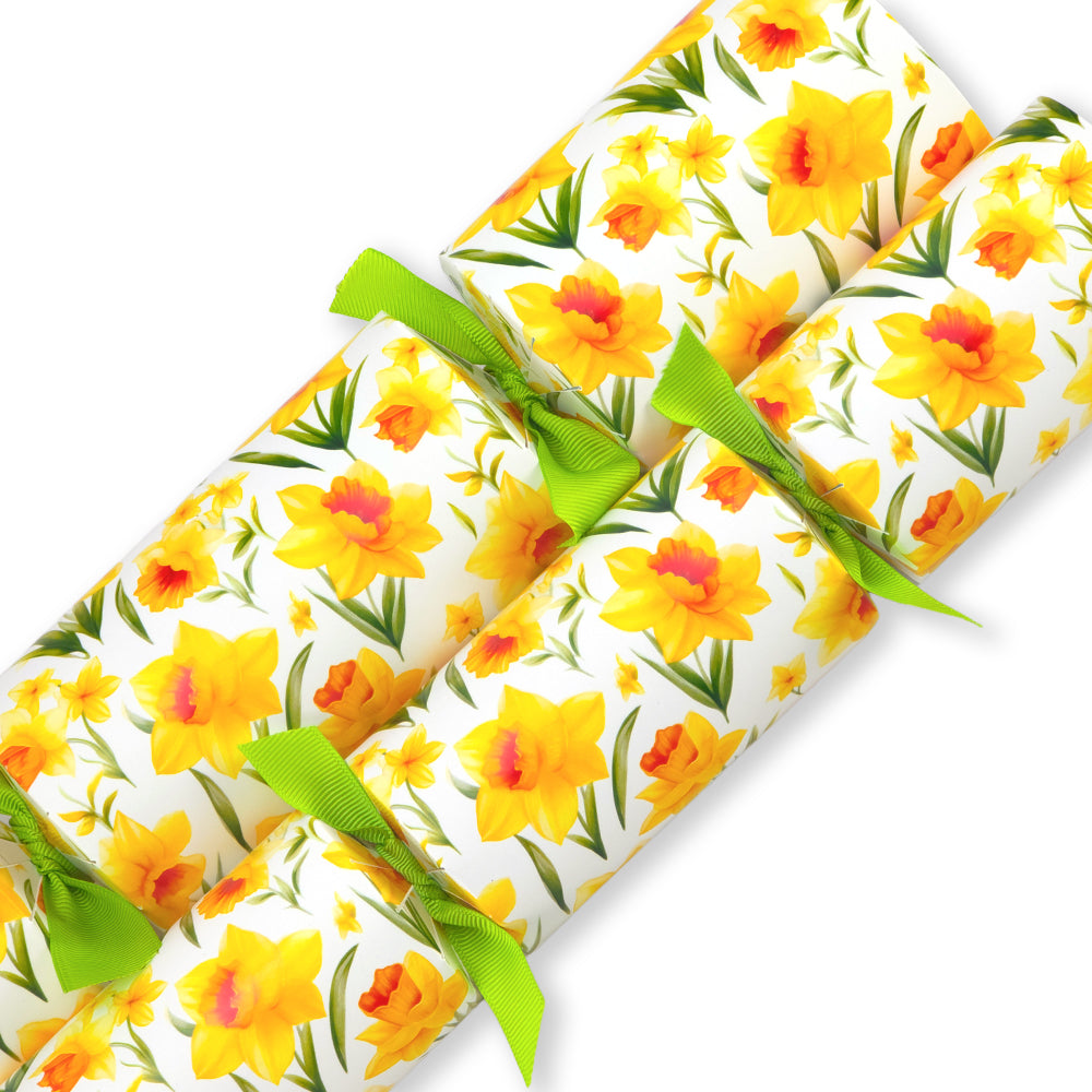 Spring Daffodils | Cracker Making Craft Kit | Make & Fill Your Own