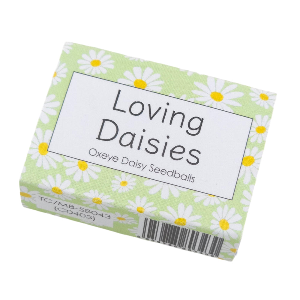 Green Daisy Design | 6 Seedball Box | Oxeye Daisy | Cracker Filler | Little Gift