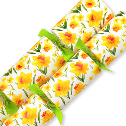 Spring Daffodils | Cracker Making Craft Kit | Make & Fill Your Own