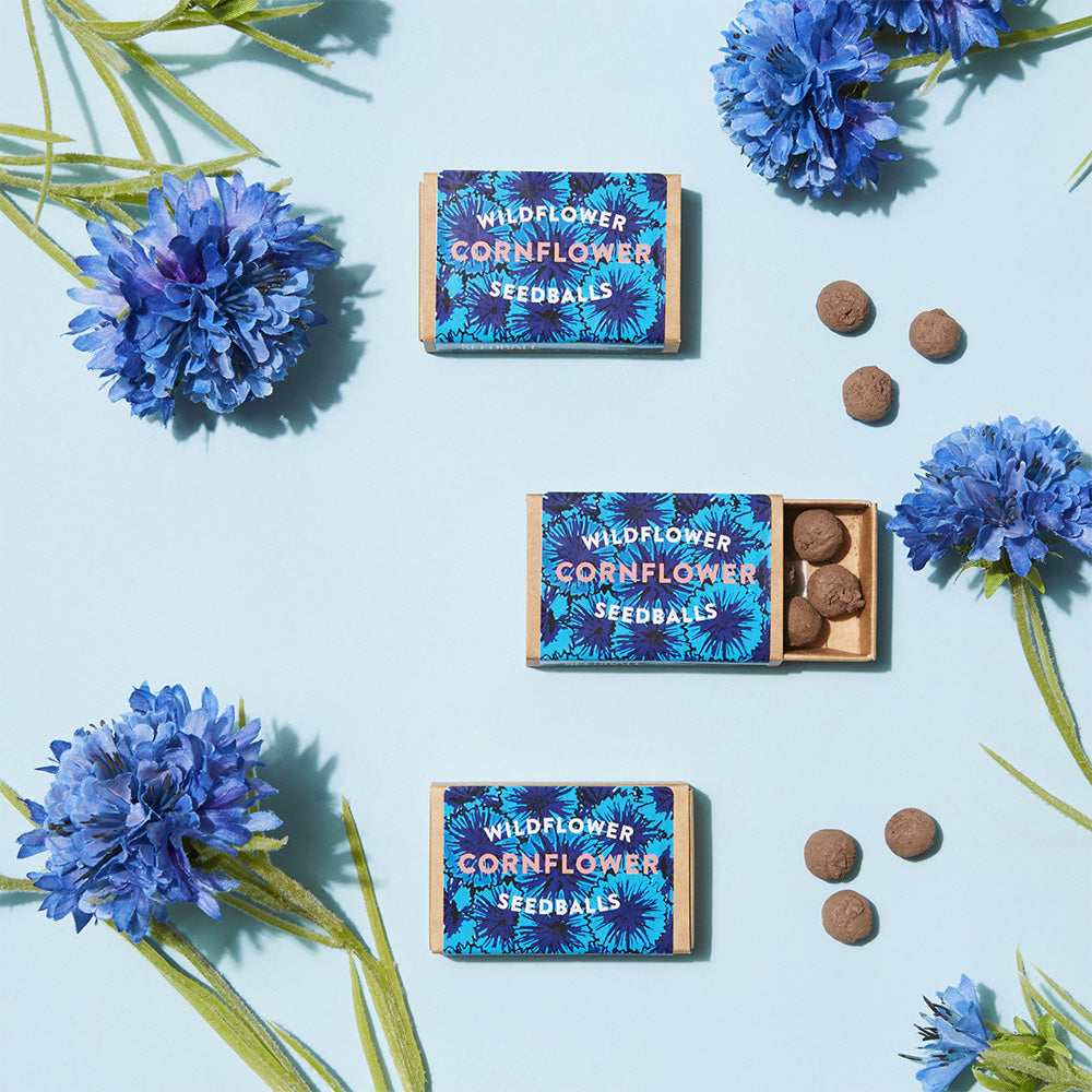 Cornflowers | Seed Bomb Matchbox | Cracker Filler | Mini Gift