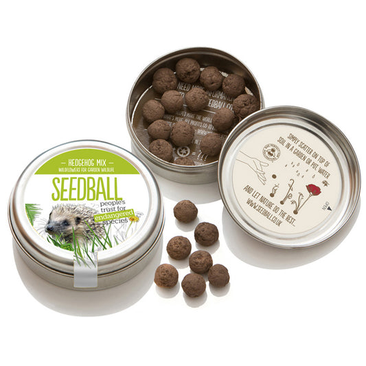 Hedgehog Mix  | Tin of 20 Wildflower Seedballs | Gift Idea | Little Gift